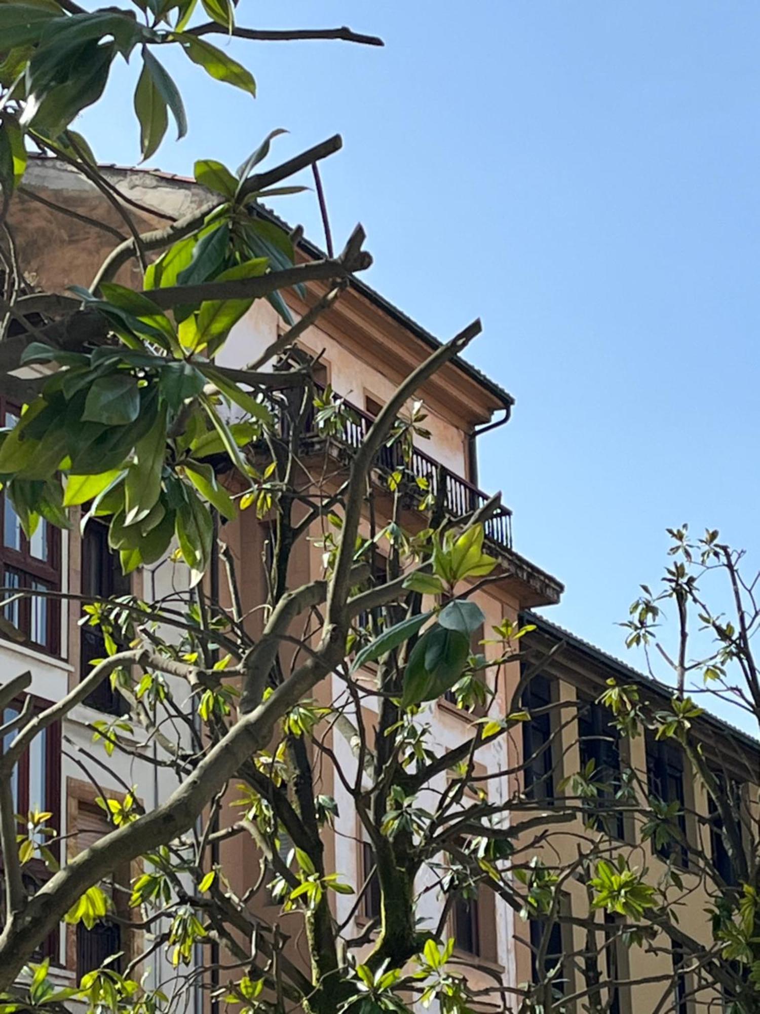 Apartamento Salsipuedes-La Catedral 奥维耶多 外观 照片
